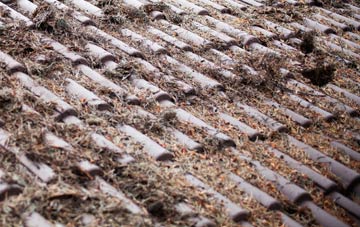 Penmon roof cleaning companies