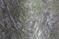 Penmon fibreglass roof work